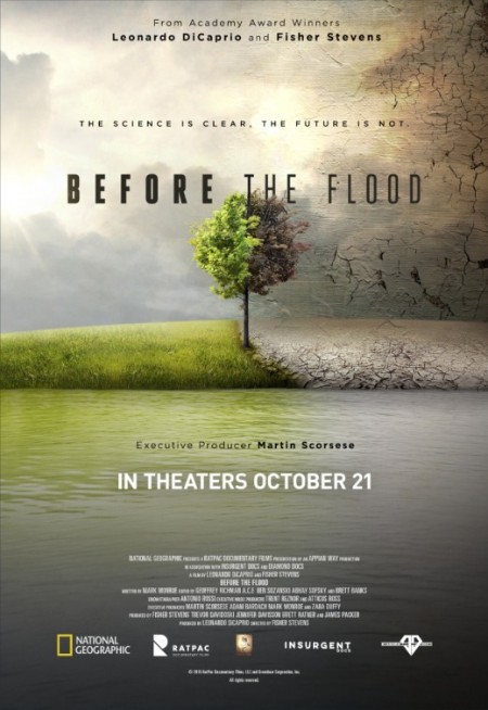 Before The Flood (2016) 720p WEBRip x264 AAC-YTS