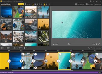 Icecream Video Editor Pro 3.07  Multilingual