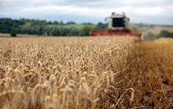 Названа сумма ущерба от запрета на импорт зерна в ЕС