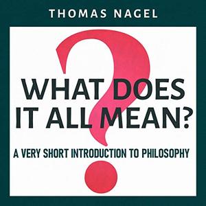 What Does It All Mean A Very Short Introduction to Philosophy [Audiobook]