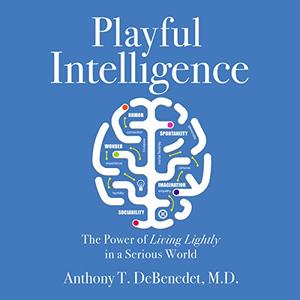 Playful Intelligence The Power of Living Lightly in a Serious World [Audiobook] 