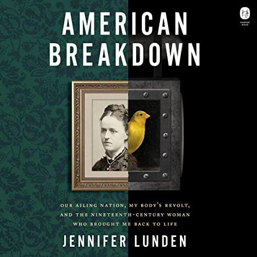 American Breakdown [Audiobook]