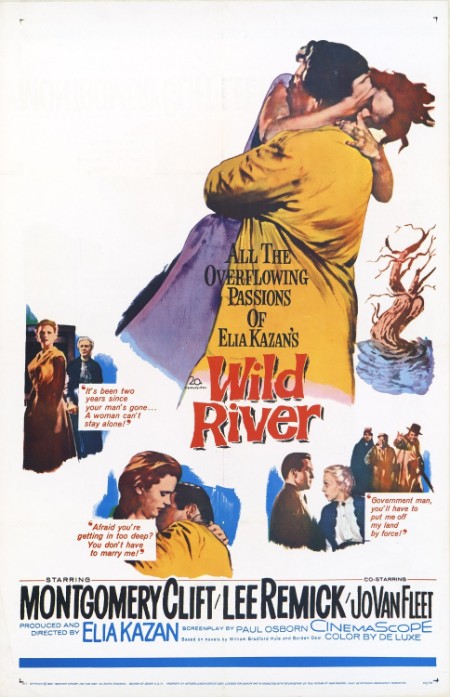 Wild River (1960) 1080p BluRay H264 AAC-RARBG