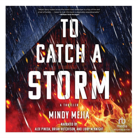 Mindy Mejia - To Catch a Storm - [AUDIOBOOK]