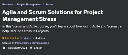 Agile and Scrum Solutions for Project Management Stress