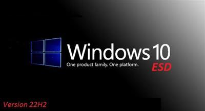 Windows 10 22H2 X64 4in1 OEM ESD Build 22621.2283 en-US Preactivated September  2023