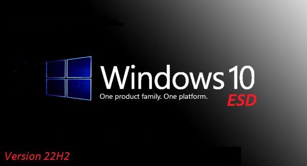 Windows 10 22H2 X64 4in1 OEM ESD Build 22621.2283 en-US Preactivated September 2023