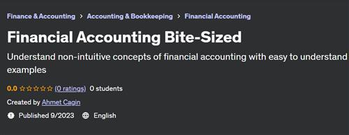 Financial Accounting Bite–Sized