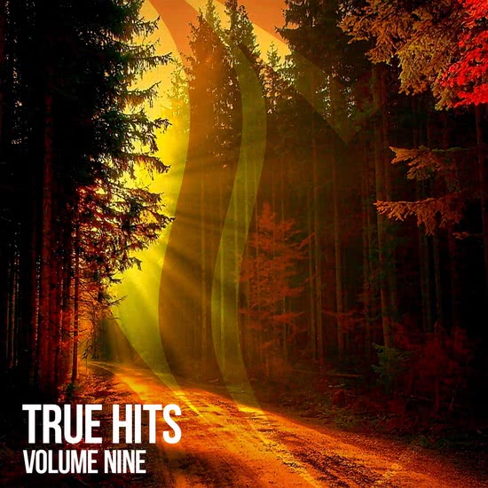 True Hits Vol. 9 (Extended)