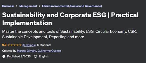 Sustainability and Corporate ESG – Practical Implementation