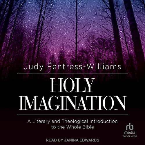 Holy Imagination A Literary and Theological Introduction to the Whole Bible [Audiobook]