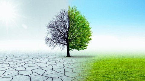 Certified Climate Change Fundamentals Professional(Cccf-Pro)