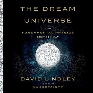 The Dream Universe How Fundamental Physics Lost Its Way
