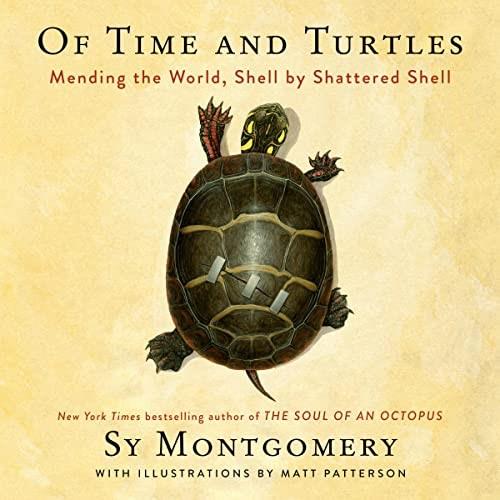 Of Time and Turtles Mending the World, Shell by Shattered Shell [Audiobook]