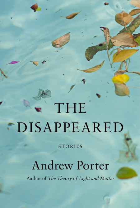 The Disappeared  Stories by Andrew Porter