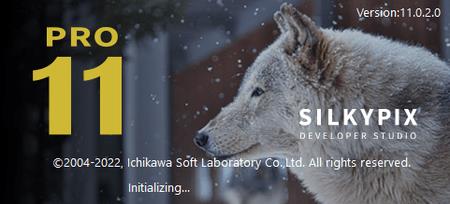 SILKYPIX Developer Studio Pro 11.0.11.0 Portable (x64)