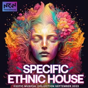 Specific Ethnic House (2023)
