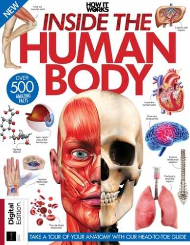 Inside the Human Body (How It Works 2023)