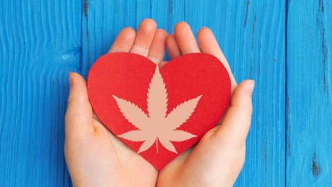 Cannabis Therapy Planning 101