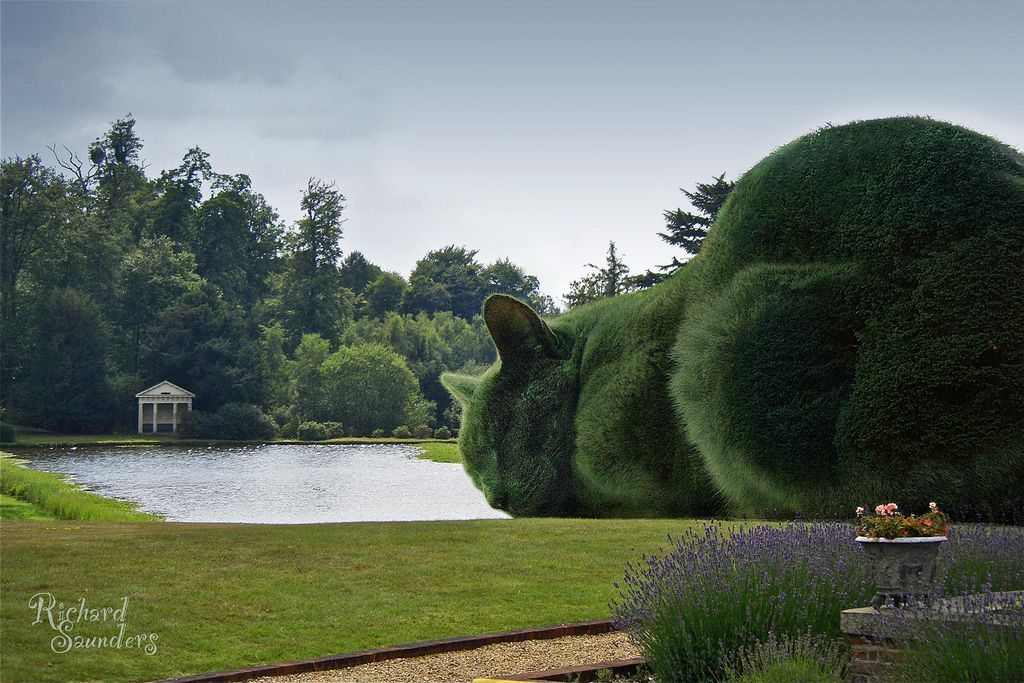 Topiary Cat-Richard Saunders 97ae99e11c62ed39a091a0eede97891e