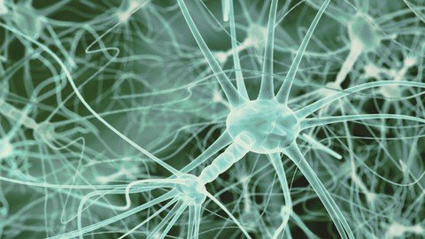 An Introduction To The Endocannabinoid System