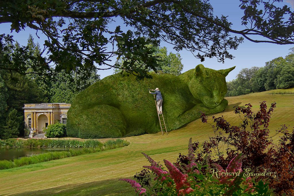 Topiary Cat-Richard Saunders Ca7f6d517d02b3ef00cce35cba5fcb57