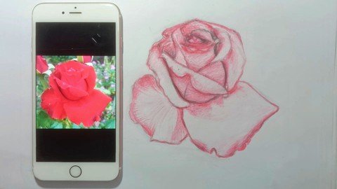 Draw A Red Rose In 5 Easy Steps