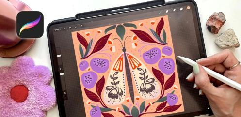Folk Art Moths in Procreate A Fun Beginner–Friendly Class