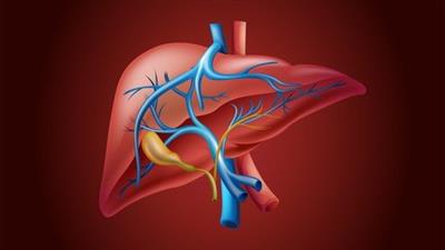 A Complete Course On Liver  Disease
