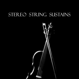 Beautiful Void Audio Stereo String Sustains KONTAKT
