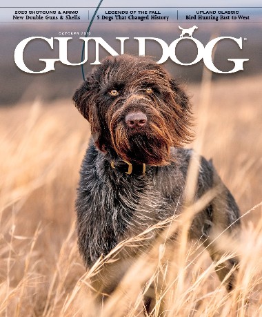 Gun Dog - October / 2023 3d7a941193493aedf26592a344079c5e