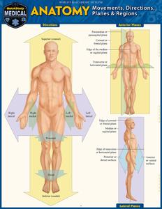 Anatomy – Directions, Planes, Movements & Regions (QuickStudy Medical)