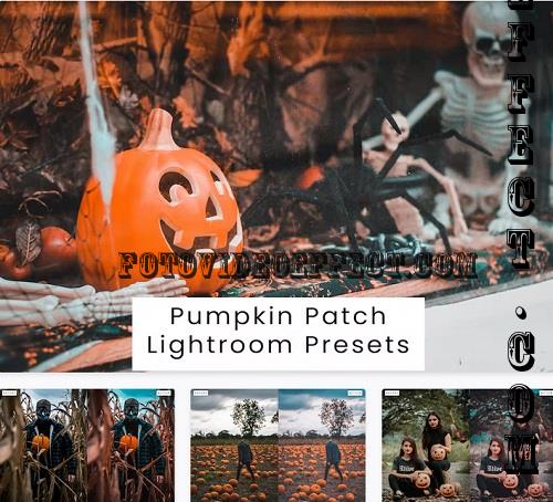 Pumpkin Patch Lightroom Presets - GXHV6C8