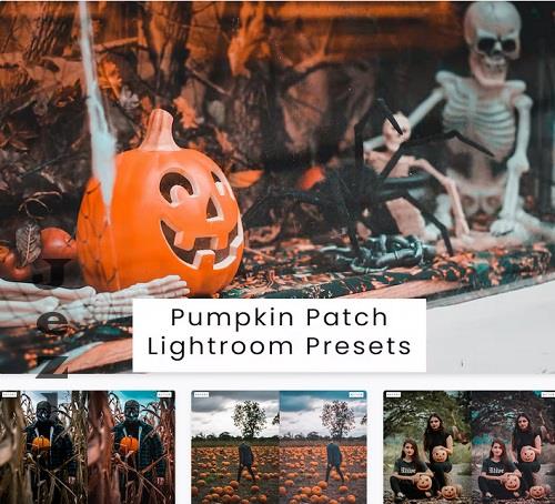 Pumpkin Patch Lightroom Presets - GXHV6C8