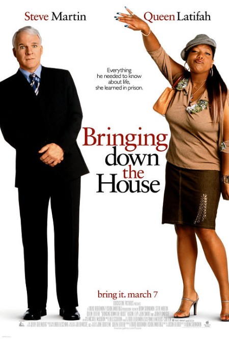 Bringing Down The House (2003) TUBI WEB-DL AAC 2 0 H 264-PiRaTeS