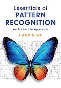 Essentials of Pattern Recognition An Accessible Approach