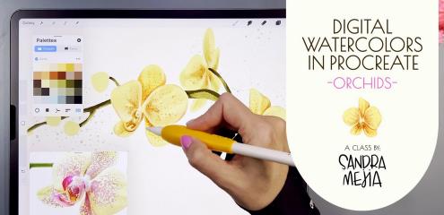 Digital Watercolors in Procreate – Orchids
