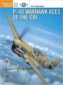 P–40 Warhawk Aces of the CBI