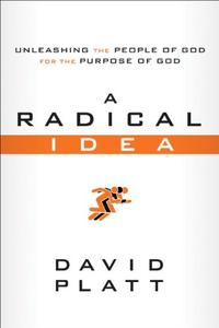 A Radical Idea Unleashing the People of God for the Purpose of God