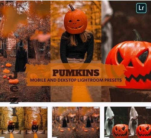 Pumpkins Lightroom Presets Dekstop and Mobile - 2DLVBKK