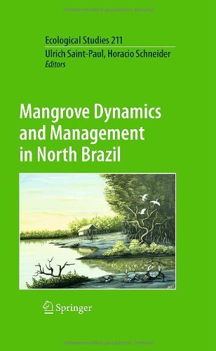 Mangrove Dynamics and Management in North Brazil