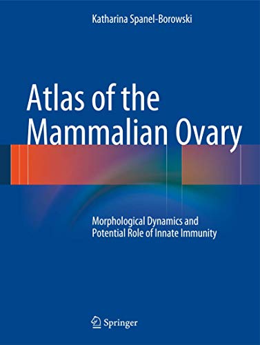 Atlas of the Mammalian Ovary Morphological Dynamics and Potential Role of Innate Immunity