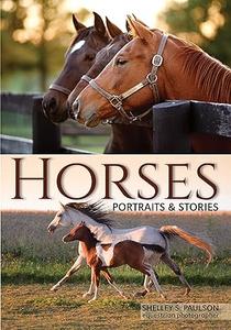 Horses Portraits & Stories