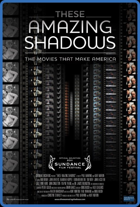 These Amazing Shadows (2011) 1080p BluRay H264 AAC-RARBG