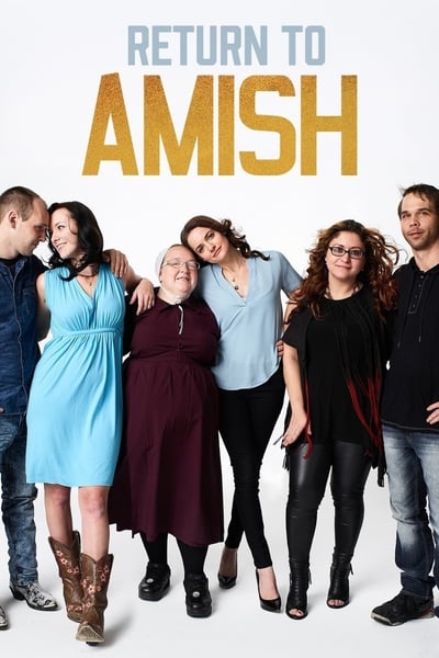 Return To Amish S01E07 German 1080p WEB h264-TVNATiON