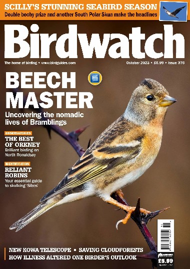 Birdwatch UK - October / 2023 3f0e2d8316e279e5ebfec1998d2b2c67