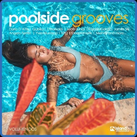 VA - Poolside Grooves (Volumen Dos) 2023