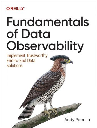 Fundamentals of Data Observability: Implement Trustworthy End-to-End Data Solutions (True PDF)
