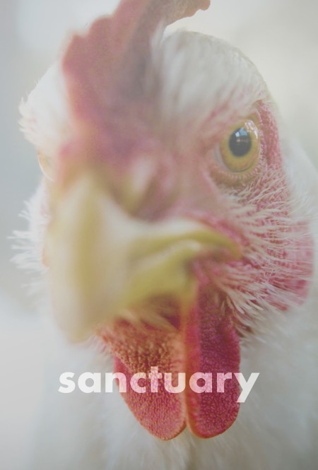 Sanctuary (2023) iTA-ENG BluRay 720p MP4 InfosPack022