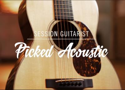 Native Instruments Session Guitarist Picked Acoustic v1.1.0 KONTAKT